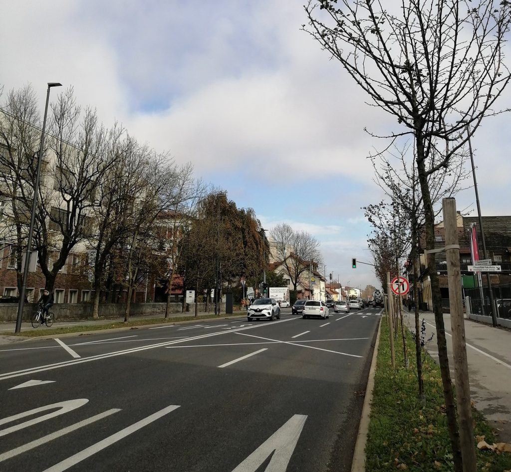 kolesarska infrastruktura Tržaške ceste